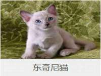 丰泽区松盛信息技术服务部